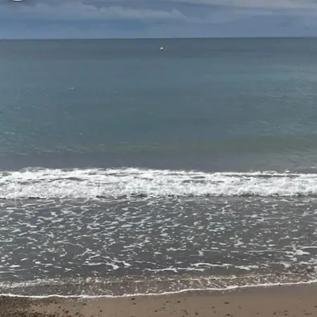 лагуна * Torrevieja